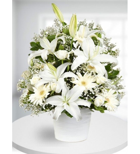 Beyaz Saksıda Lilyum / Kazablanka ve Gerbera