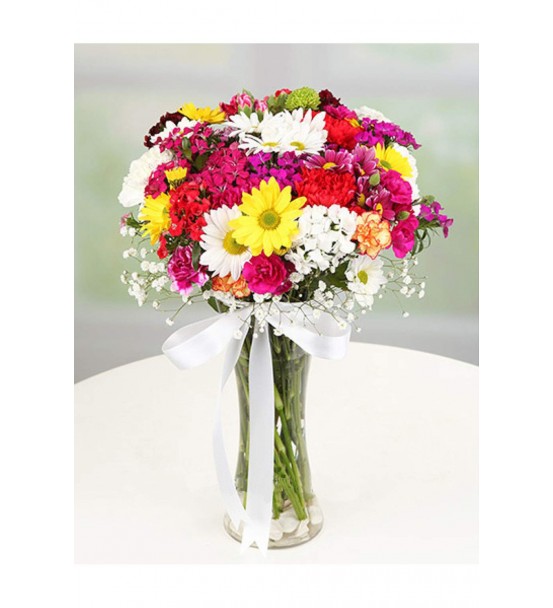 Vazoda Gerbera, Papatya ve Hüsnüyusuf